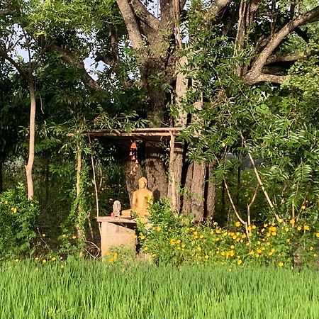 Sahana Retreat Buttala Exterior photo