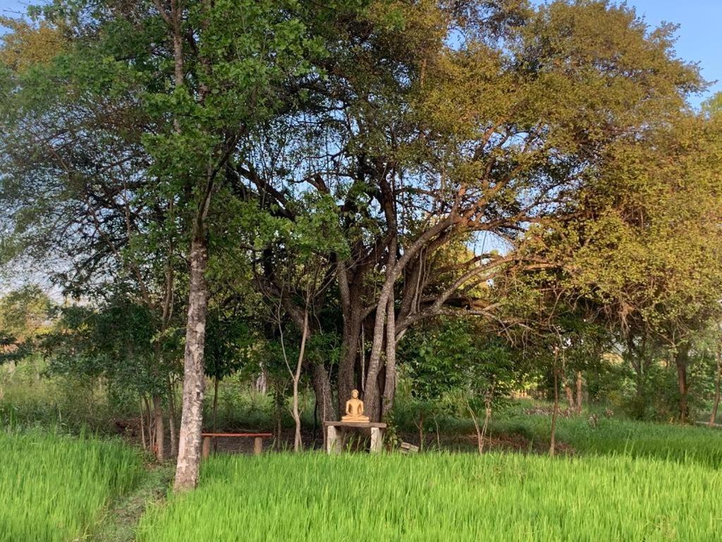 Sahana Retreat Buttala Exterior photo